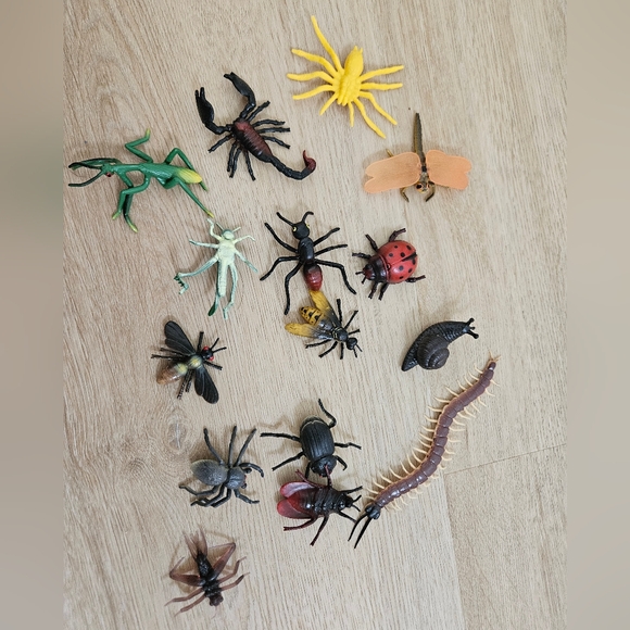 Lakeshore Insects Learning KIT - Picture 6 of 7